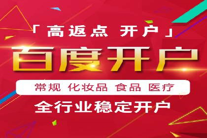 案例研究：SEM开户助力电商快速崛起